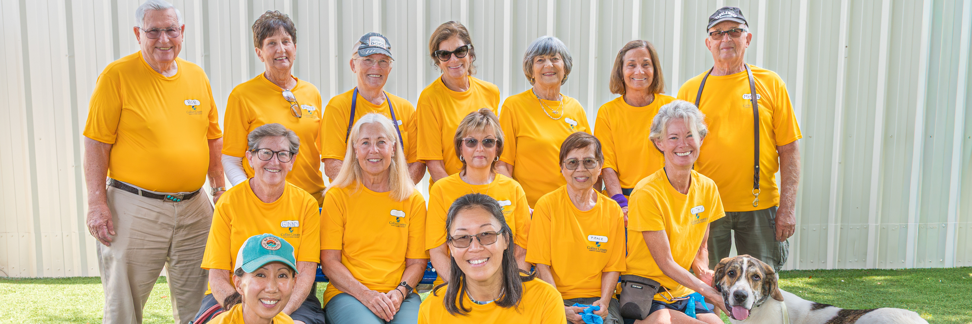 DAS VOLUNTEERS IN YELLOW SHIRTS WITH DOGS