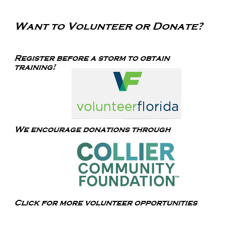volunteer-banner.png