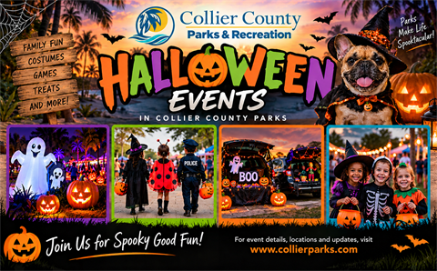 Halloween-Article-Image.png