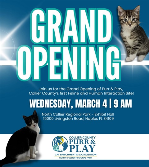 Purr and Play Grand Opening