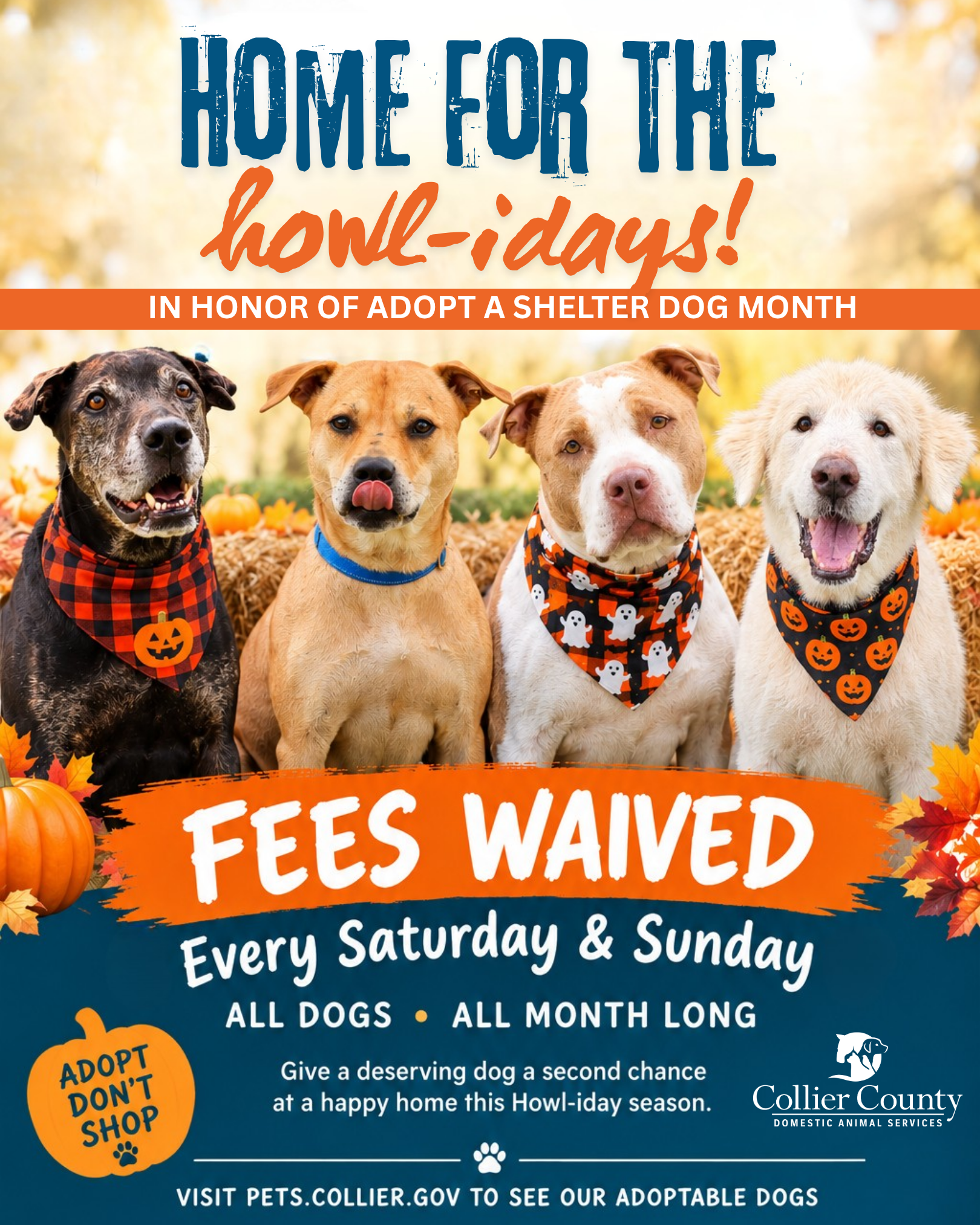 View-all-adoptable-dogs-at-91.png