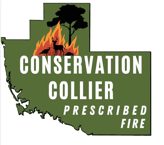 Fire Logo.JPG