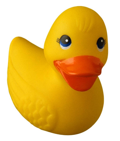 Tapp Duck stormwater pollution prevention video