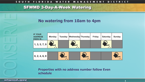 10-4pm no watering schedule from SFWMD 