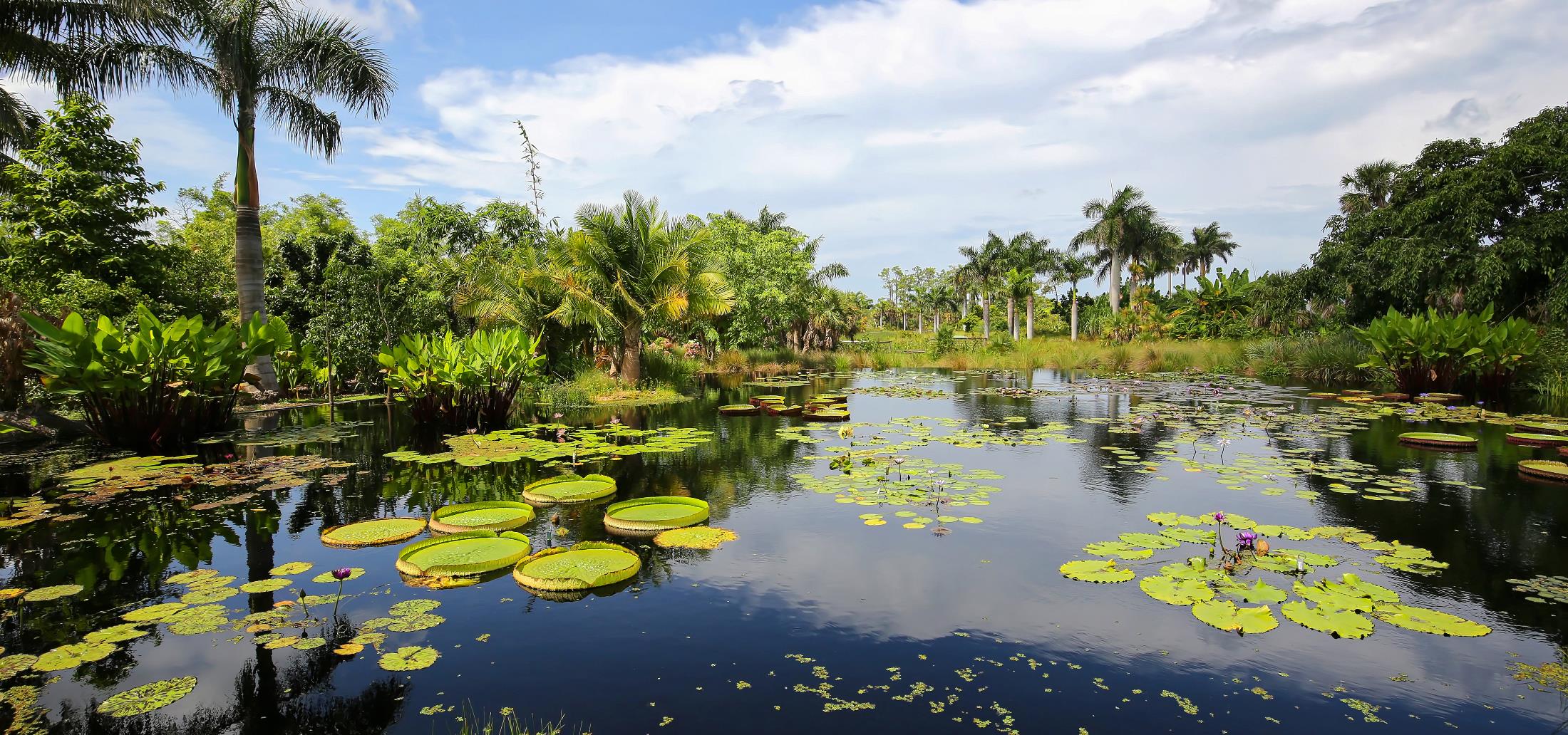 Botanical Garden.jpg